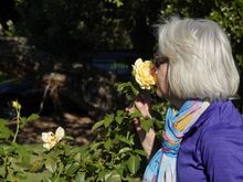  Sometimes you got to smell the roses. 