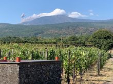 Mount Etna erupts over the vineyards right before we begin our hike.