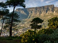 Table Mountain, Cape Town, South Africa 