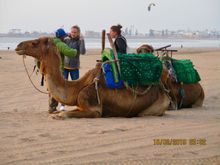 Funny when they're down