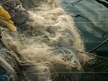 Menton  *test from new source