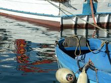 We left Corricella and descended back down to the main town Marina Grande and its Porto ferry. We just missed one boat so hung around this area for a while. It too had its own appeal, including 'Dal Cavaliere' Bar (1960), famed for its pair of traditional puff pastries: la Lingua and la Frollicella. Each lemon custard pastry had its own dedicated postcard, both colorful and tasteful. The lineup was insane and we waited a very very long time! But after the crowds died down: VG people-watching.