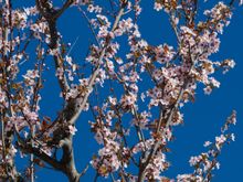 Never trust anyone who does not enjoy a stroll through lovely nature.