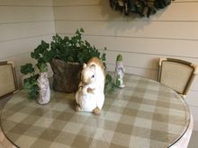 
He is much better behaved than the squirrels that throw nuts at our cars and taunt the dogs.