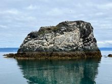 One of the islands by Gull Island. Every nook in the rock is a bird, as well as on top of the rock