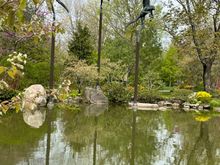 Not as great a picture but here’s my angel statues at Anderson Japanese Gardens, Rockford, Illinois.  There’s also a set of Millie’s angel statues in Philadelphia on the river banks. We had a bus load of Swedish tourists come to our Gardens primarily to see these statues. 