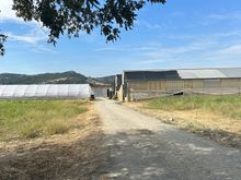 Entrance to farm, with pepper drying sheds in background