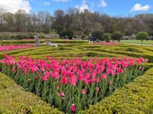Muckrose Garden