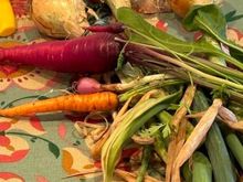 We don’t grow a summer vegetable garden as it’s too water intensive and not fun in the desert heat, but here’s some of yesterday’s spring harvest which also included lots more carrots, snap peas, perpetual spinach, spigarello, turnips and bok choy.