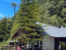 At the boarder between Argentina and Chile-Nahuel Huapi National Park