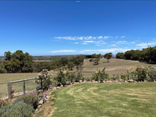 Farm views