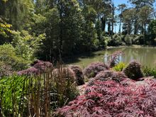 Peaceful Wildwood Gardens