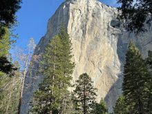 Now we’re staying in Yosemite Valley and our first hike took us to magnificent El Capitan.