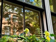 I love the wavy glass