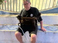 These gatti are NOT shy!!