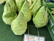 Unusually shaped cabbage