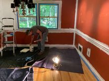 Sandy painting the dining room 

