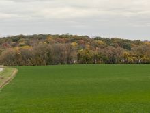typical hill side in south central Minnesota.