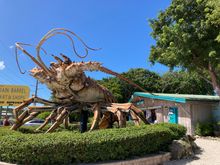 Rain Barrel art/craft village, Islamorada
