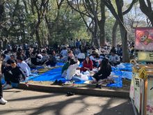 Crowds (but no cherry blooms...)