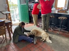 Me and Lucy (i met her when she was a pup and now she is a therapy dog)
