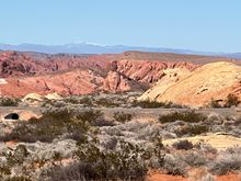 Snow on the rooftop if you look hard enough.