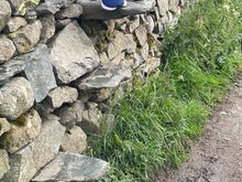 Climbing into the field with the stones.