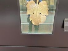 This is the fig leaf that was applied to the plaster cast of the statue of David by Michelangelo.  This was necessary because in Victorian times, the ladies had a hard time looking at David in the eye! Hey eyes up here! This is very funny, I mean Victoria had 9 children so at least someone knew what was behind the fig leaf