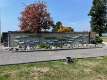 Also a few salmon too.  There used to be a big salmon processing plant here.