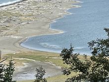 The Spit, it's an easy walk down to the Spit from the Observation Deck, with a  5.5 mile hike to the Lighthouse on the end of the Spit.  We didn't do the hike because if the tide comes up you can't get back.  No, not taking the hike had nothing to do with the 20 oz. Porterhouse I had last night at the 7 Cedars Casino!