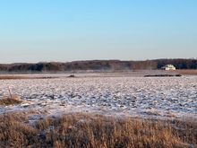 That house belongs to my chiropractor.