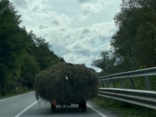 Carrying hay by wagon 