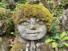 Love the moss hairdo 