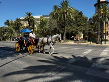 Malaga’s palm-lined streets