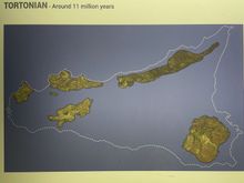 For all the people clustering around the top end of Ortigia, it seems very few take the time to visit this massive collection of artifacts. The displays date back to prehistory.