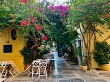 Bougainvillea in Nafplio