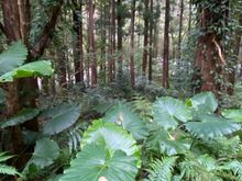 A wonderful walk into the beauty of the island 