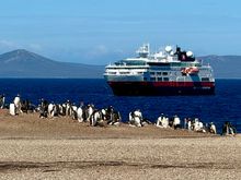 Gentoo penguins checking out our ship