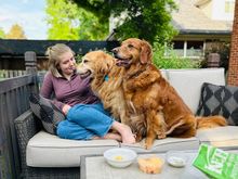 Our daughter came home for the summer. The dogs have also made friends with some neighbor girls. When I was going to work on Tuesday, I found two friendship bracelets the neighbor girls had made for Lil and Mol on our front door handle. So sweet!