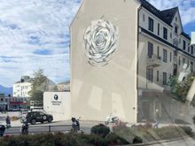 Town of roses