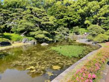 The gardens are huge and there were a lot of open spaces