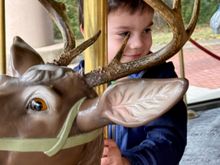 He had to pick the deer one..... The antlers obscured his face 99.9% of the time, lol!