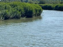 The castle view from the Black Rabbit 