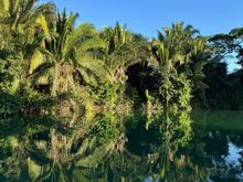 River cruise on Rio Grande 