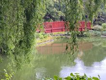 The Botanical Garden