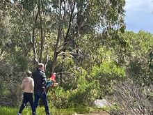 Usually chat to other dog walkers….but they were walking….a macaw….?? 
