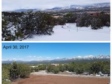 Several inches, our last storm winter 2016-17. Our driveway and view from from our den.