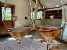 One final taste of rose at Nautilus before turning in the bikes