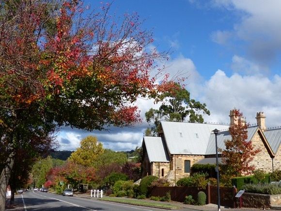 Clarendon, autumnal colour