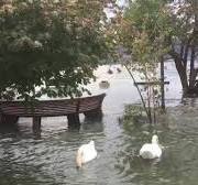 Lake Maggiore in October 2020